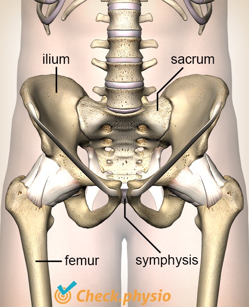 Pelvic instability