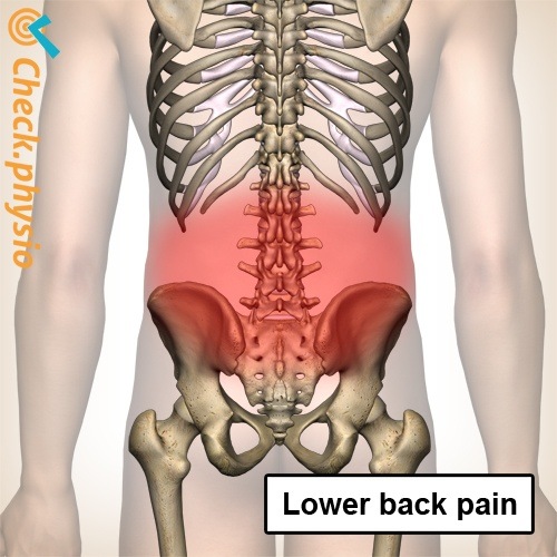 back low back pain spine spinal column skeleton